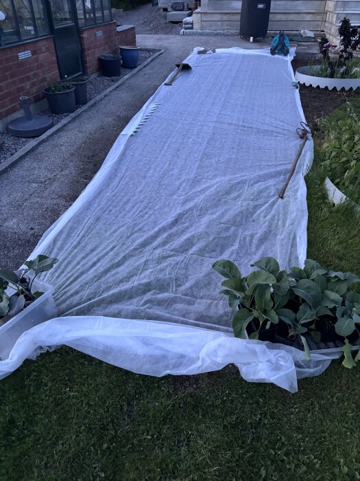 En täckt yta med vävduk över jord, omgiven av redskap och krukväxter, nära en husvägg och med grusgång bredvid.