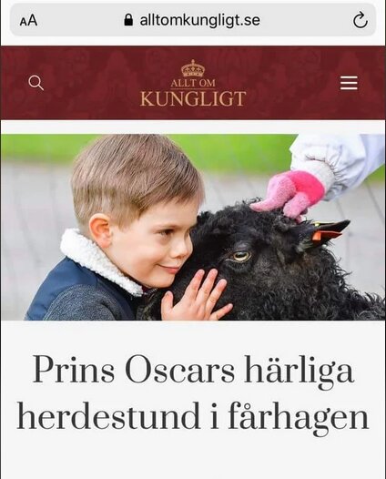 Pojke klappar ett får, som en del av en artikel om "herdestund" i fårhagen.