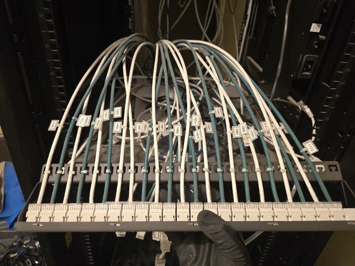 Serverrack med bunt av nätverkskablar, svarta och vita, med etiketterade kontakter, i ett datorrum. Kablarnas ändar är ordnade i en kopplingspanel.