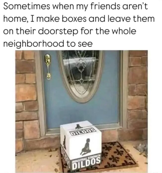 En kartong märkt med texten "Industrial Strength DILDOS" står på en dörrmatta framför en blå dörr.