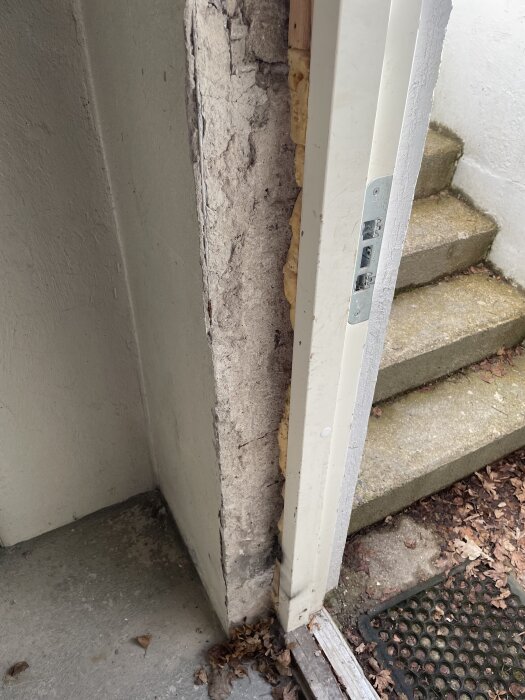 Damaged basement door frame with exposed stone and insulation, adjacent to stairs and fallen leaves, requiring repair before adding a wooden door.