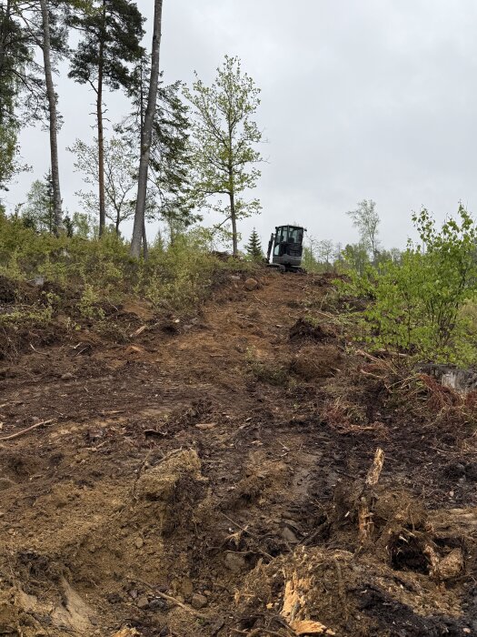 Grävmaskin i skogsmiljö som utför markarbete omgiven av träd och buskar. Molnig himmel i bakgrunden.