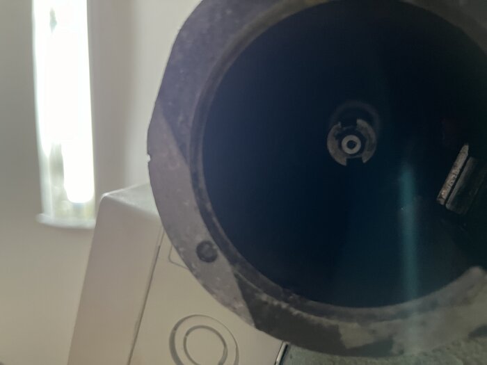 Närbild av en spindelhylsa med en spindel synlig inuti, delvis skuggad, med ljus från ett fönster i bakgrunden.