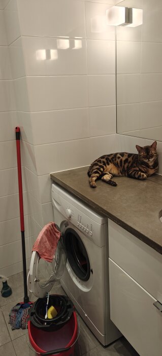 Katt ligger avslappnad på en tvättmaskin bredvid städutrustning i ett ljust badrum.