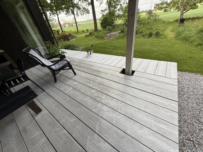 Grånad trätrall med stolar och en katt, omgiven av grönska.