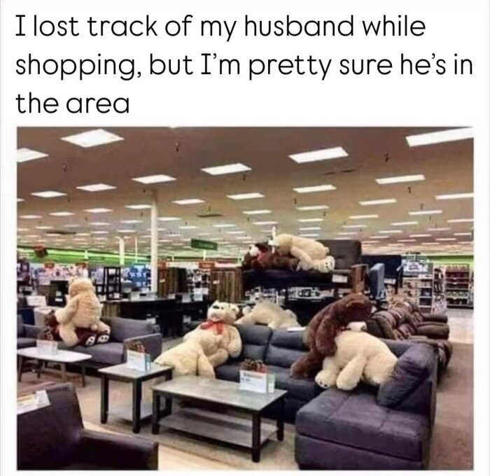 Flera stora teddybjörnar är placerade i olika poser på möbler i en butik, inklusive soffor och bord. Textrubrik ovan beskriver en humoristisk situation.