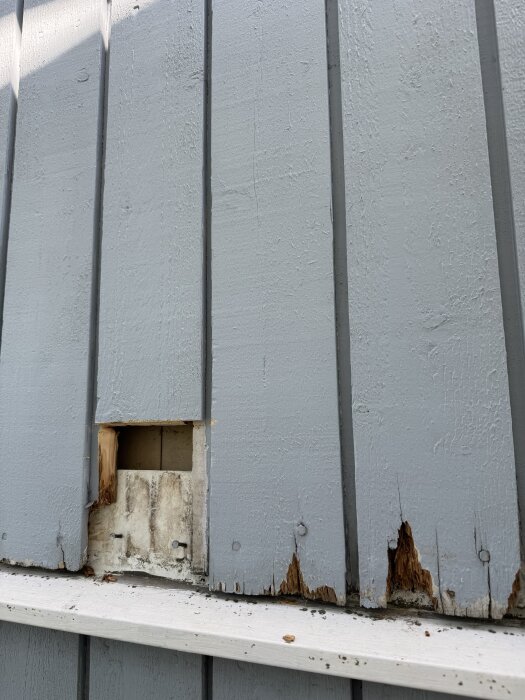 Fasadpanel i blått med skador och öppning för droppnäsa, visar ruttet trä vid nederkanten, del av byggprocess inför renovering och målning.