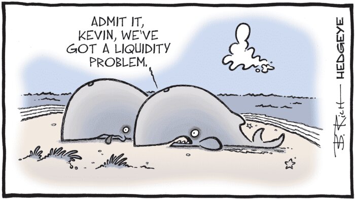 Två strandade valar med pratbubblan "Kevin, we've got a liquidity problem" på en strand.