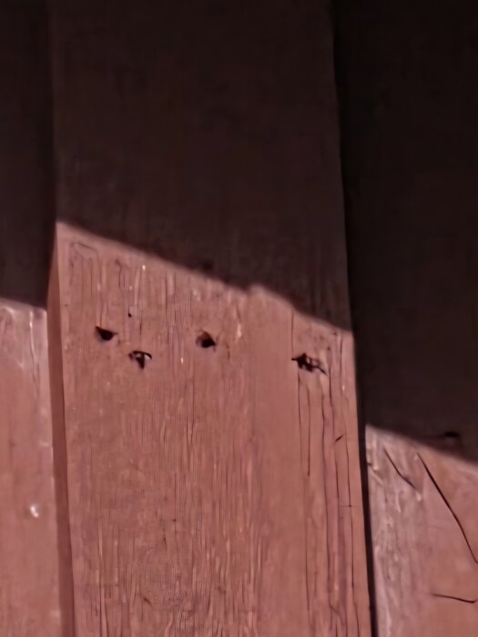 Bild av en trävägg med flera små, ovala hål som kan vara utgångshål för skadedjur, tagna på avstånd och förstorat.