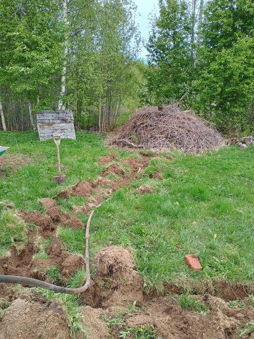 Gräsmatta med grävda fåror och en slang i marken, omgiven av skog, en spade och en hög med kvistar i bakgrunden.