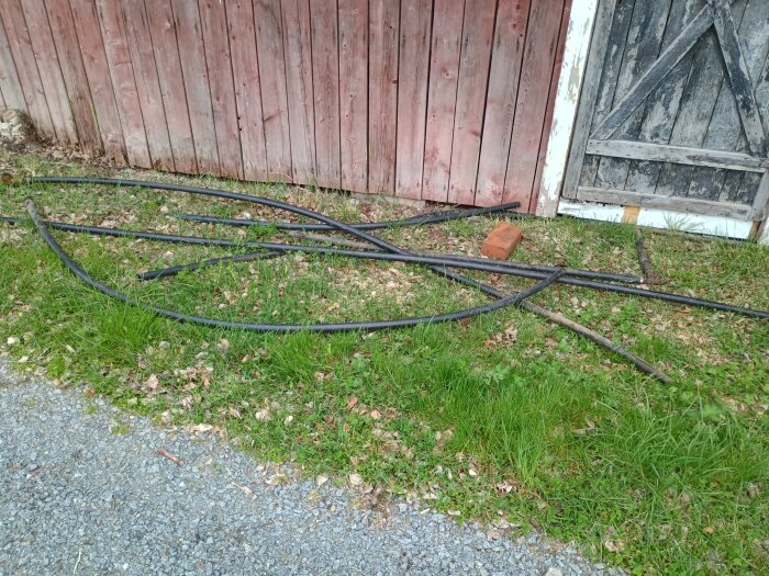 Slangar ligger på marken framför en röd trävägg vid sommarstugan.