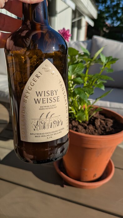 Person håller en flaska Wisby Weisse öl från Gotlands Bryggeri, i bakgrunden syns en blomkruka.