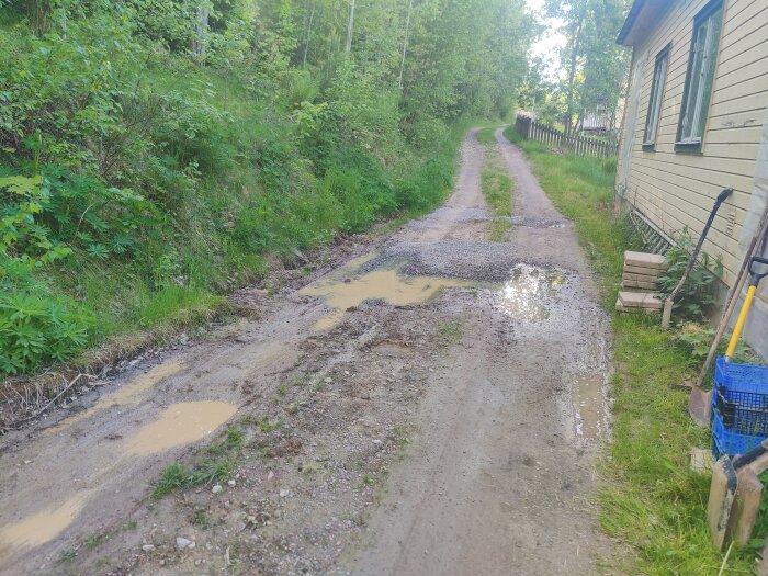 Ojämn grusväg bredvid ett hus, med vattenpölar och gröna växter omgivande vägen. Grusbitar syns, samt verktyg vid husvägg.