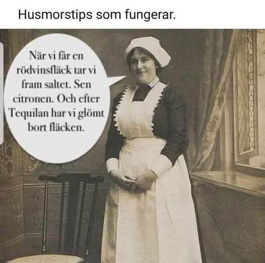 Svartvit bild av en kvinna i gammaldags klädsel, pratbubbla med husmorstips om att använda salt, citron och tequila för att "glömma" en rödvinsfläck.