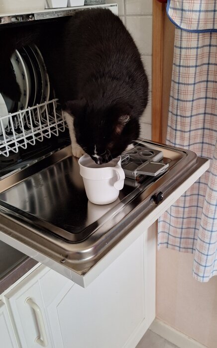 Svartvit katt på diskmaskinslock slickar på en vit mugg.