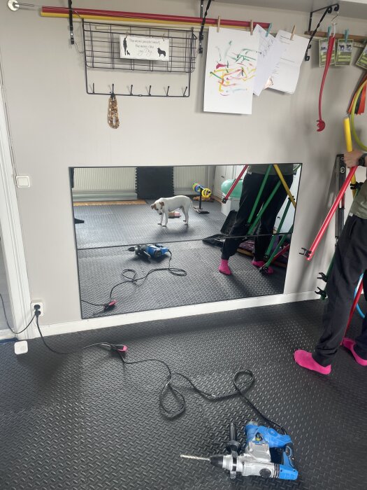 Spegel på vägg i träningsrum med hund, verktyg och träningsredskap synliga på golvet.