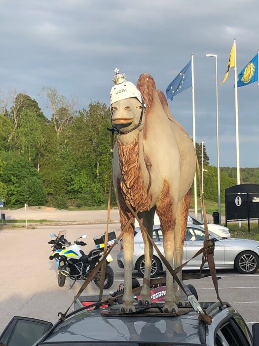 En stor kamelstaty bär hjälm och är fastspänd på ett biltak, med en polisbil och motorcykel i bakgrunden.