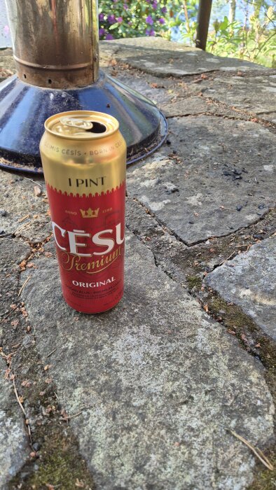 Röd burk med öl av märket Cēsu Premium står på ett stenlagt golv bredvid en metallisk fot av ett bord, omgiven av grönska och blommor.