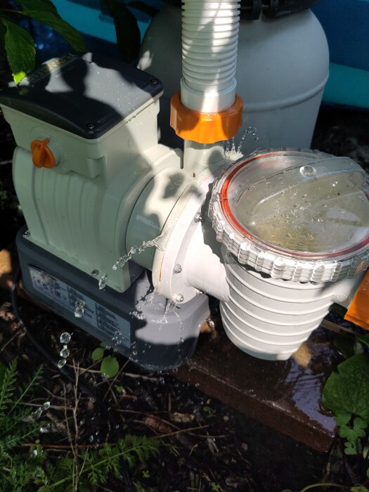 Vatten läcker från en fyra år gammal Bestway-pump med bristfälliga packningar i impeller och grovfilter.