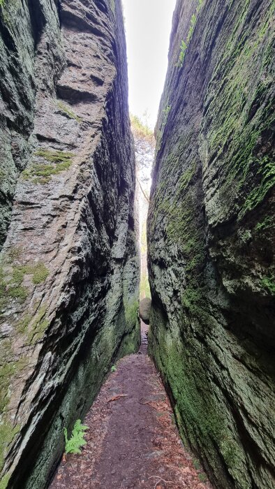 Smal passage mellan två höga, mossbeklädda klippor med en stenar i slutet.