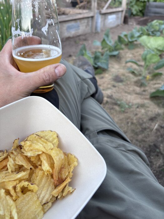 Person sitter i trädgården med chips i en skål och ett glas öl, benen avslappnat utsträckta, med kålplantor i bakgrunden.