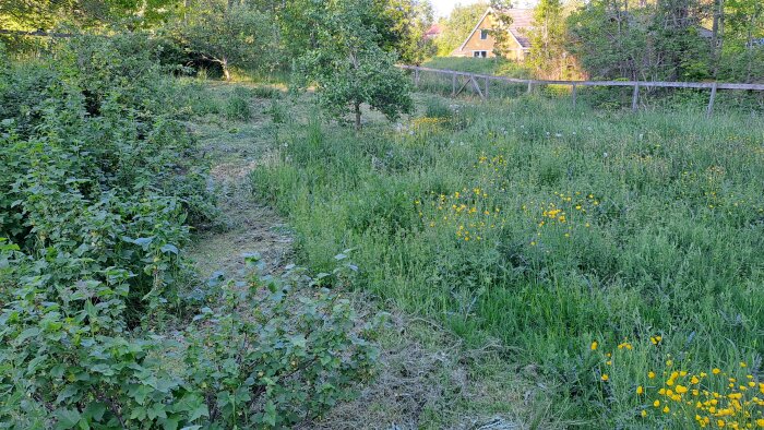 20250531_195542.jpg