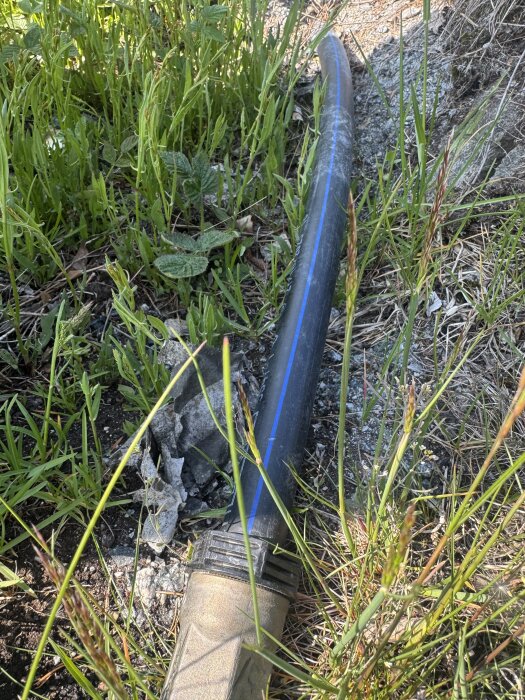 Svart plastslang med blå rand ligger på marken omgiven av grönt gräs och stenar. Slangen har en plastkoppling på ena änden.