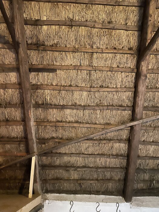 Takstomme med stråtak och träbjälkar i en gammal skånelänga, som behöver renoveras och förstärkas för bättre isolering och struktur.