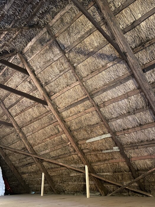 Närbild av ett gammalt stråtaktak med tydliga träbalkar, delvis förstärkt med moderna trästöd.