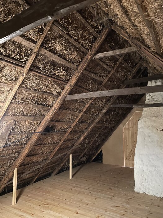 Takstomme av trä med synligt stråtak inifrån en vind i en skånelänga, med trägolv och en vitkalkad murstock synlig till höger.