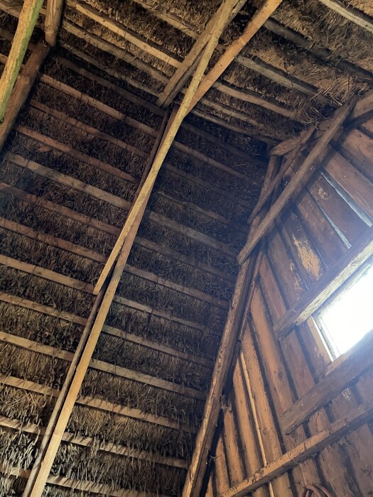 Interiör av en gammal skånelängas tak med synliga stockar och halmtak, delvis träpanelerat med ljusinsläpp från ett fönster.