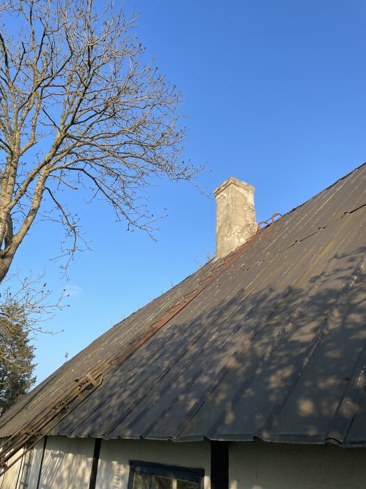 Tak på en gammal skånelänga med blå himmel i bakgrunden, en skorsten och en trädlös gren bredvid byggnaden.