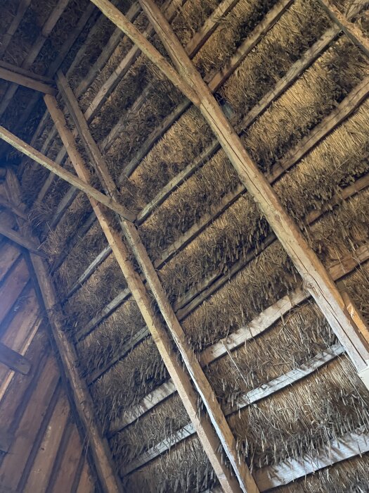 Gammalt innertak med stråfoder och träbalkar i ett traditionellt hus.