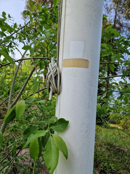 Flaggstång i närbild med rep och grönska runt, material och fällbarhet ifrågasätts i inlägg. Kula av plast nämns.