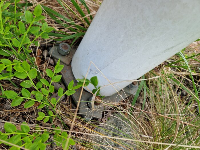 Flaggstångsfundament med grönska runt. Rör fäst med bultar vid markplatta.
