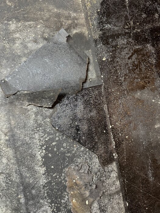Svart fastlimmad papp under plasttäcke med fuktfläckar, kanske asbest eller mögelrisk i källargolv.
