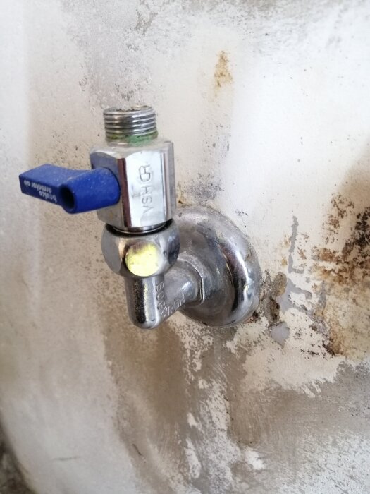 Kromad vinkelkoppling med blått handtag fäst vid en vägg, omgiven av en metallbricka och kalkavlagringar, på en gästtoalett.