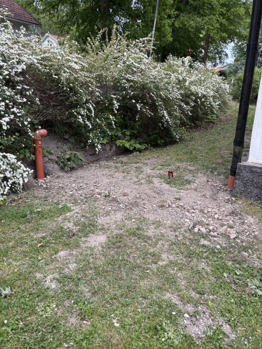 Markområde med grönska och en jordig yta förberett för stödmur. En häck och ett avloppsrör syns i bakgrunden.
