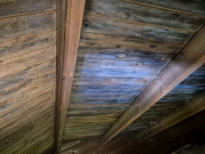 Vindtak med synliga fuktfläckar och missfärgning på träplankor. Träbjälkar är monterade diagonalt över takpanelen.