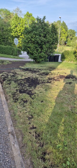 Gräsmatta med ny jord efter byte av köksstam, skugga av person i förgrunden, grönska och vägskylt i bakgrunden.