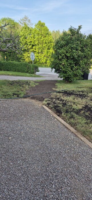 Grusväg och nyligen återställd gräsmatta framför buskar och träd, med slingrande vattenslang över marken.