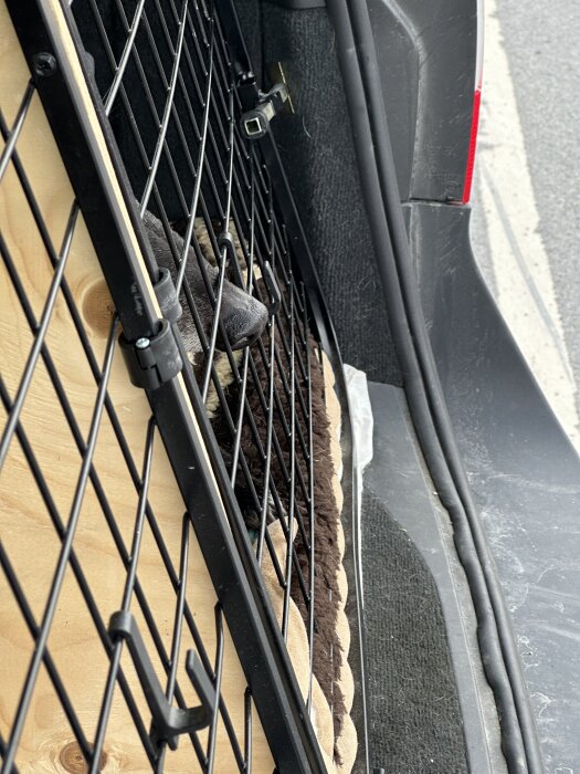 Nosen på en hund kikar ut genom ett metallgaller i baksätet på en bil.