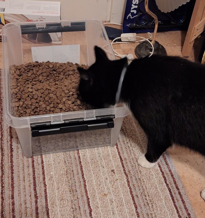 Svar: Katt provsmakar torrfoder från stor plastlåda med lock i ett rum med sladdar och en matta.