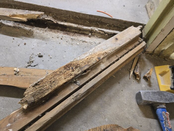 Trasig trätröskel borttagen från betonggolv, visar grunt liggande avloppsrör. Verktyg som hammare och bortbrutna trädelar syns runt omkring.