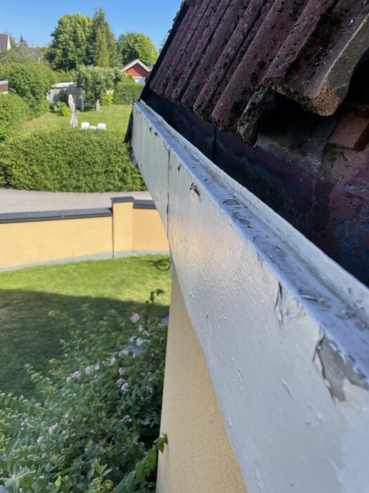 Hängränna med avskavd färg, sett från taket på ett hus, omgiven av grönska och en trädgård med buskar och träd i bakgrunden.