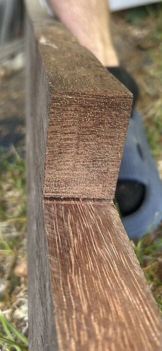 En närbild på en träbit med synliga ådringar och textur, som legat under press sedan 1980-talet.