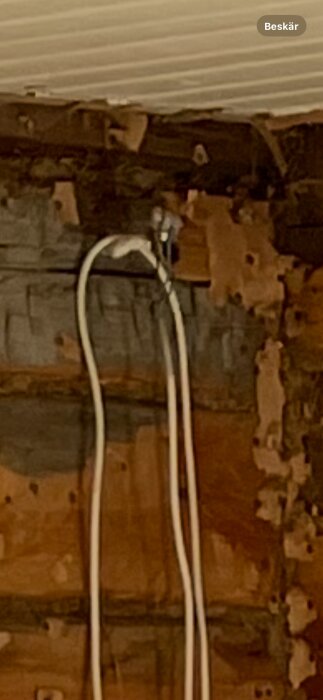 Inzoomad bild av en vägg med en tjock jordad kabel som sticker ut och är ansluten med en sockerbit och stickkontakt.