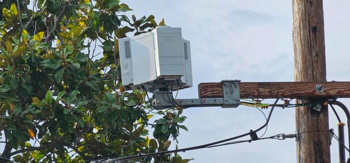 Mobilmast monterad på en trästolpe nära trädgrenar, illustrerar konceptet med Streetmacro placerad istället för hög mast långt borta.