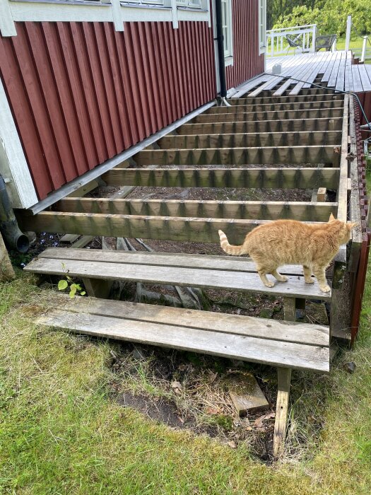 Röd träfasad med altan under renovering, en ostabil liten trätrappa med katt ovanpå, grunden verkar ojämn och lutar.