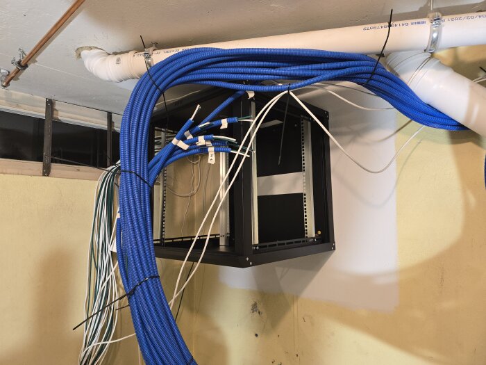 Ett svart nätverksrack monterat på väggen med flera blå och vita kablar anslutna, omgiven av ventilationsrör i ett källarutrymme.